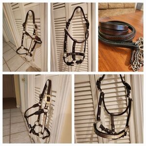 Circle Y Weanling Show Halter